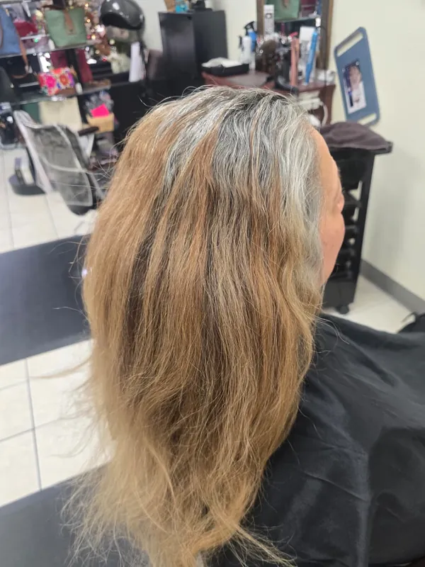 Client hair before gray blending, brassy grow-out