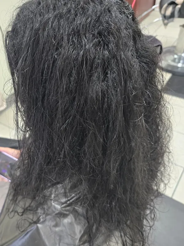 Client hair before smoothing treatment, frizzy and dry
