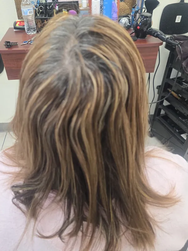 Client hair before highlights, gray roots and faded color